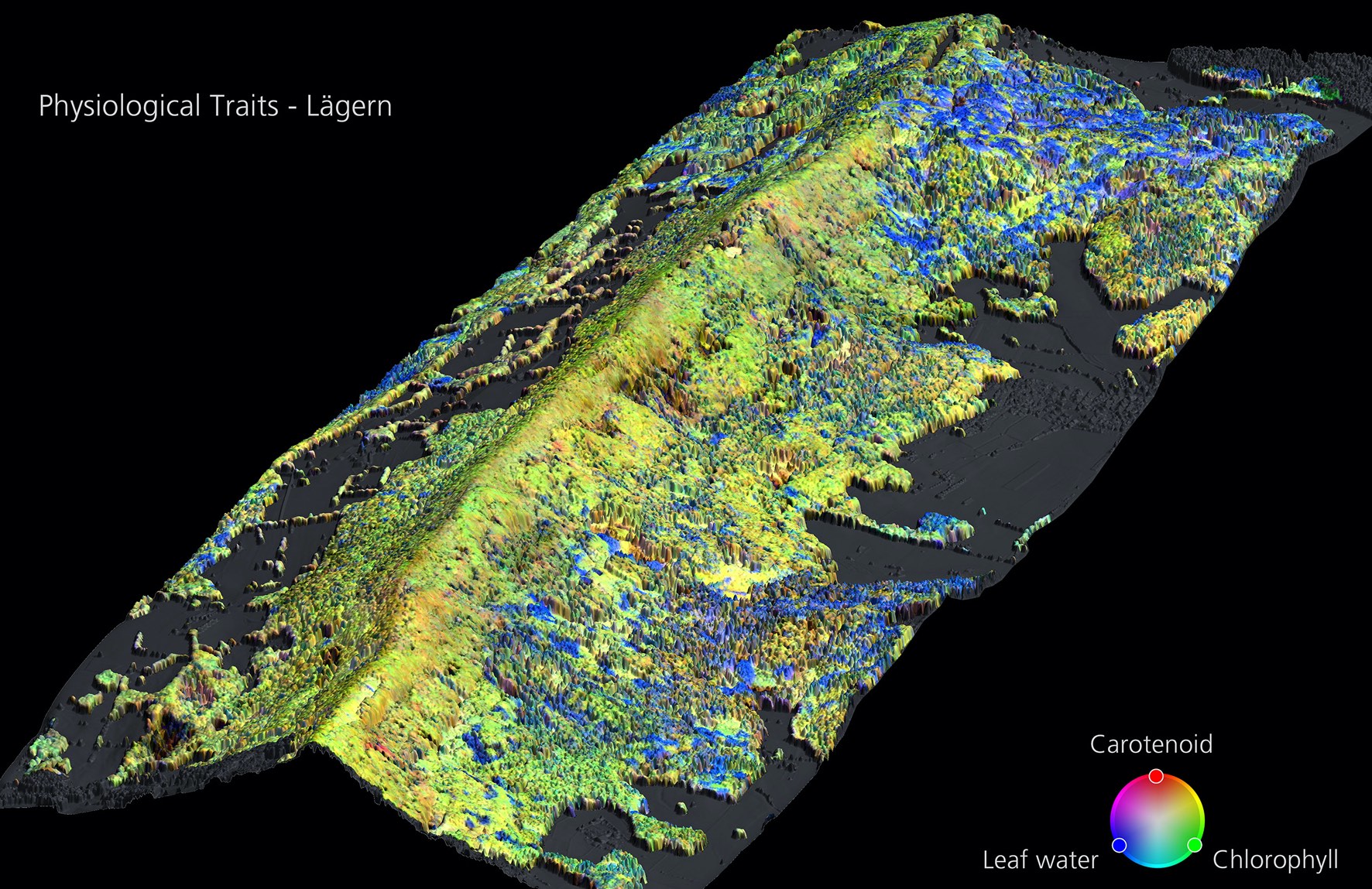 3D point clouds from UAV and terrestrial laser scanning (F. Schneider, RSL, UZH)